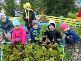 Осень наступила, пора и урожай собирать 🍂🧺 Осень наступила, пора и урожай собирать 🍂🧺.